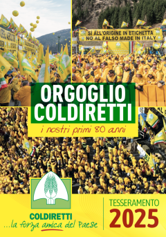 TESSERAMENTO 2024